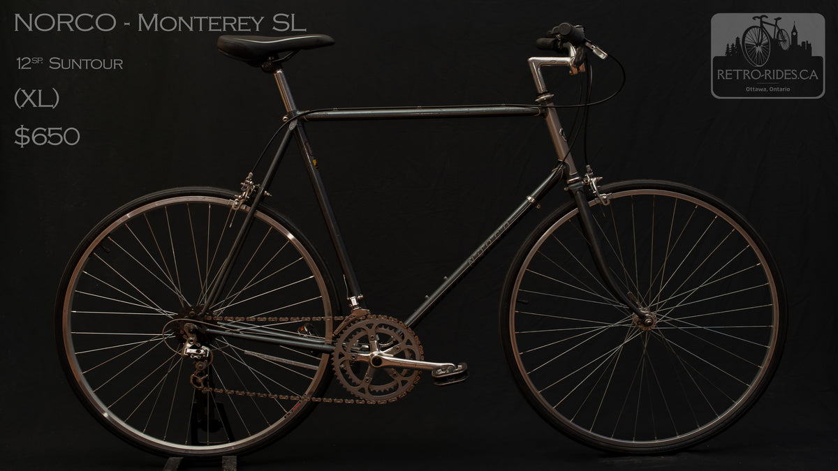 Norco Monterey SL XL –