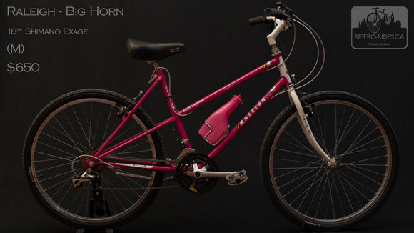 Raleigh Big Horn - Medium